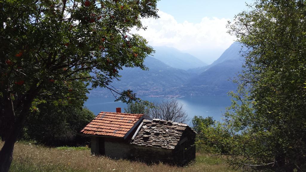 Lake Como View Apartement Allegro Acquaseria Ruang foto